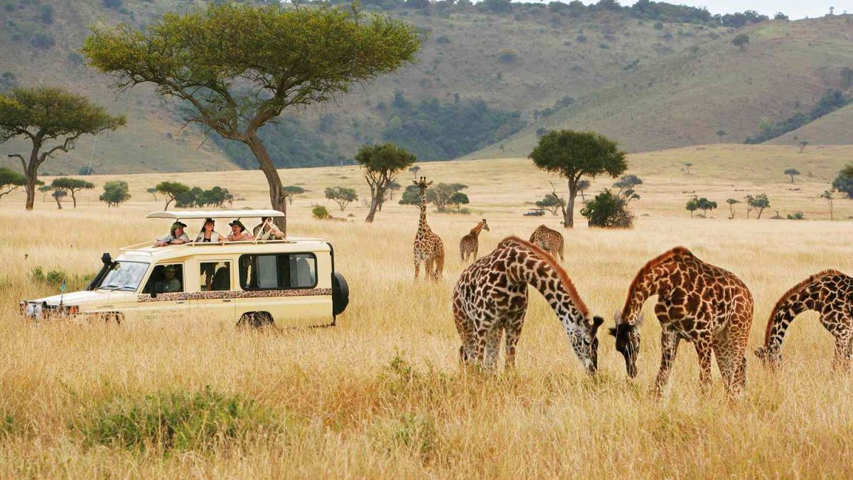 12 Days Kenya Uganda Rwanda Safari Experience