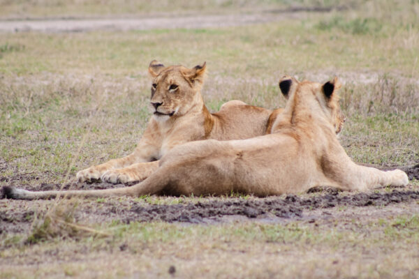 Kidepo Valley National Park1