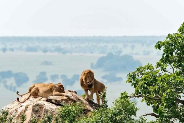 Kidepo-valley-national-park (2)