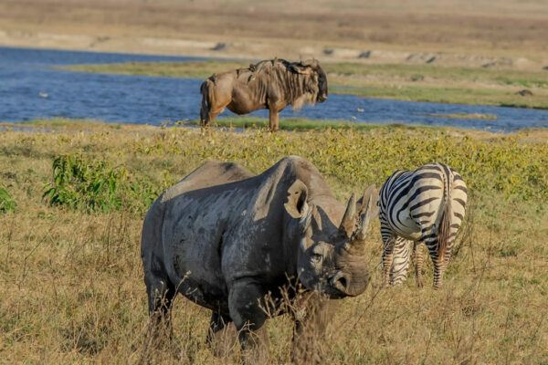 Ngorongoro Conservation Area2 Ngorongoro Conservation Area2