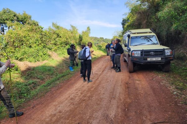 9 Days Tanzania Rwanda Uganda Safari