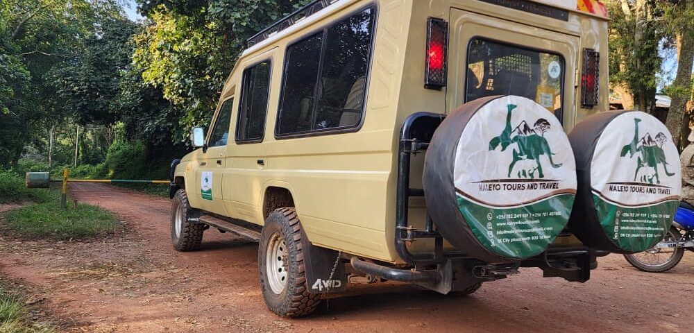 12 Days Tanzania Rwanda Uganda Safari