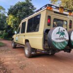 12 Days Tanzania Rwanda Uganda Safari