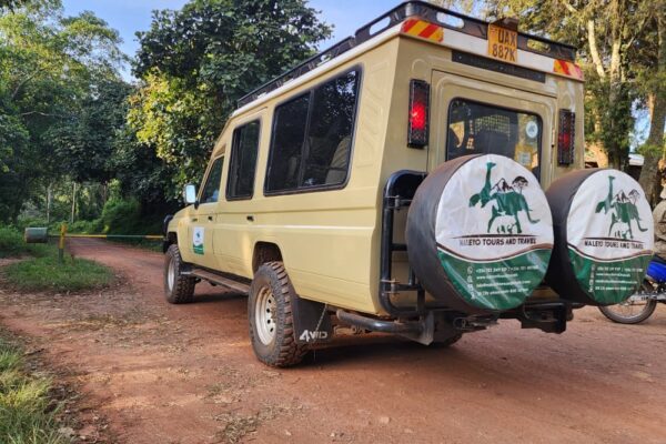 12 Days Tanzania Rwanda Uganda Safari