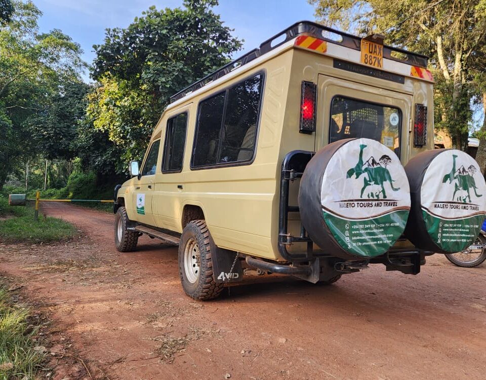 12 Days Tanzania Rwanda Uganda Safari
