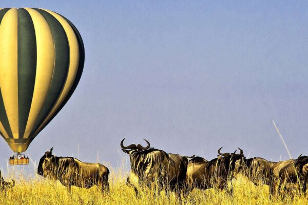 Balloon Safaris Experiences