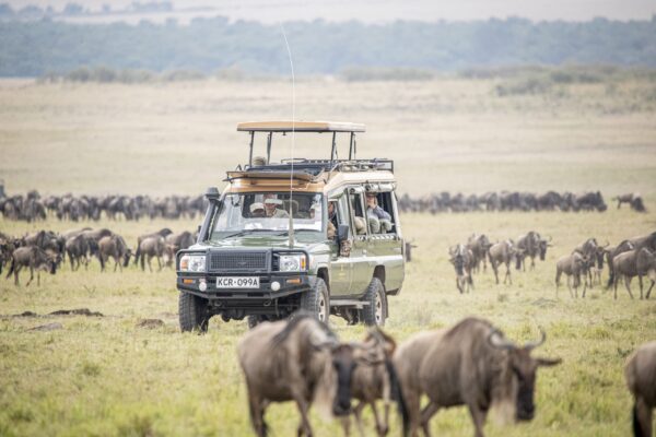 Kenya Great Migration masai-mara