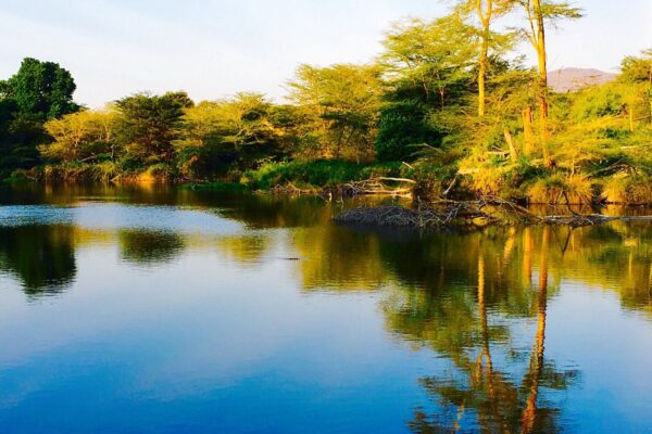 Mzima Springs