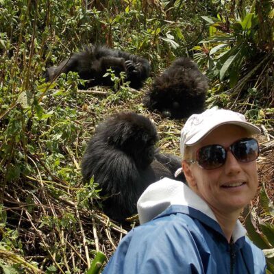 What Rules Must Visitors Follow Around Gorillas?